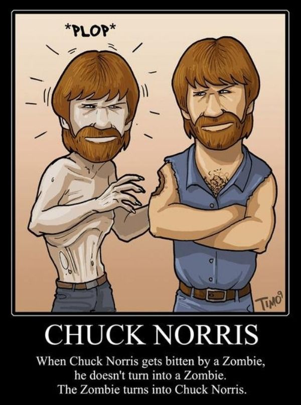 chuck norris.jpg