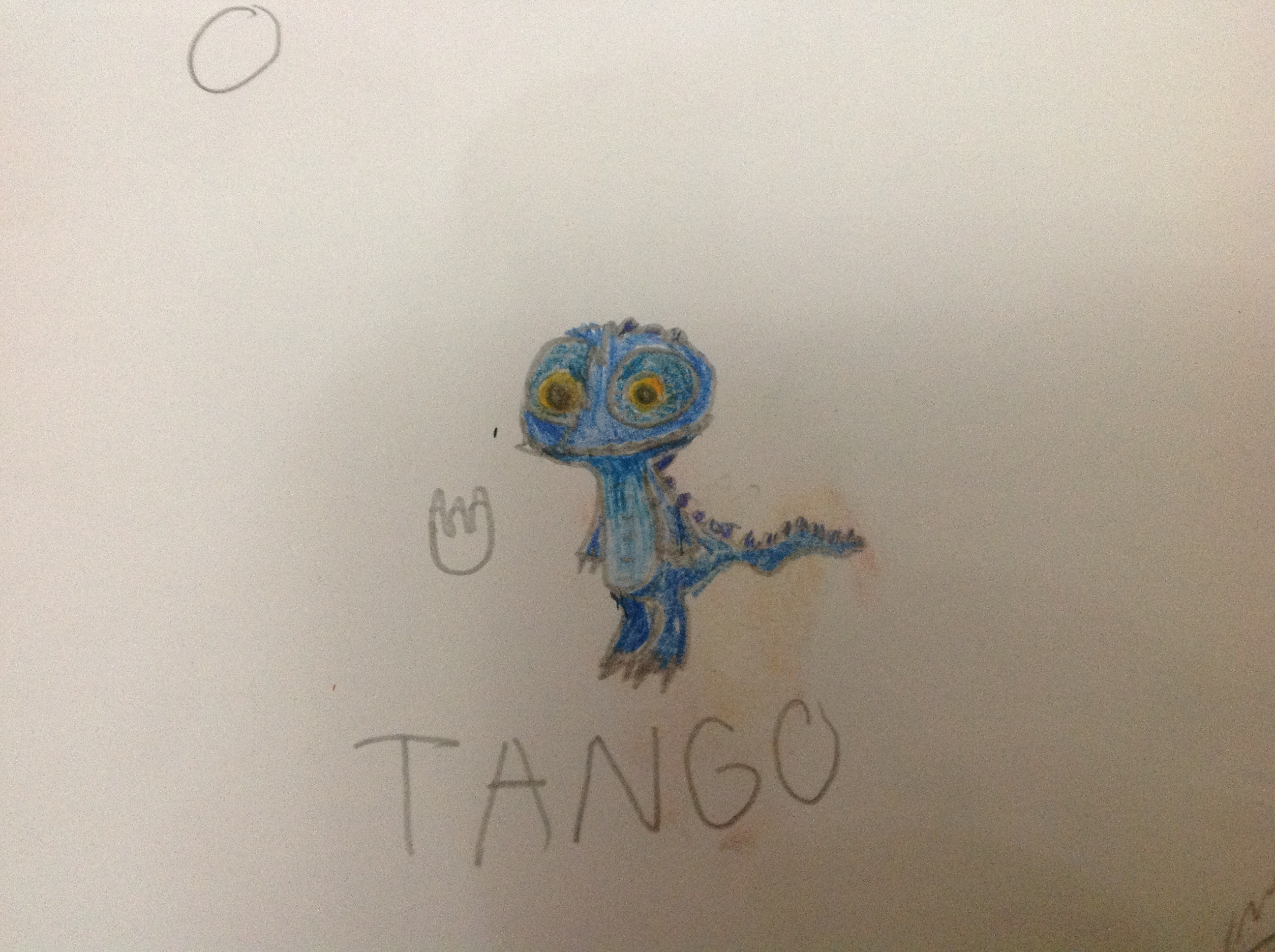 image.jpg
