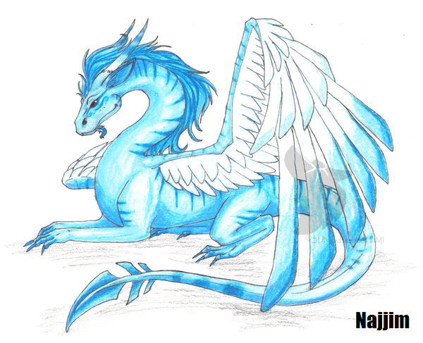 Ice_Dragon_by_Najjim.png