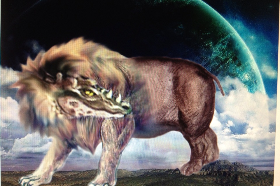 image.jpg