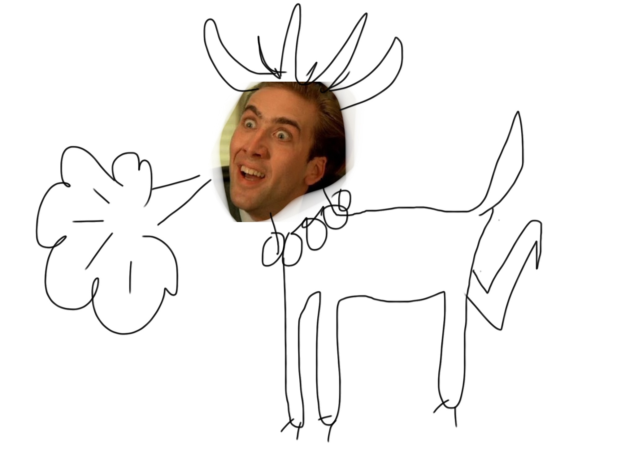 image.jpg