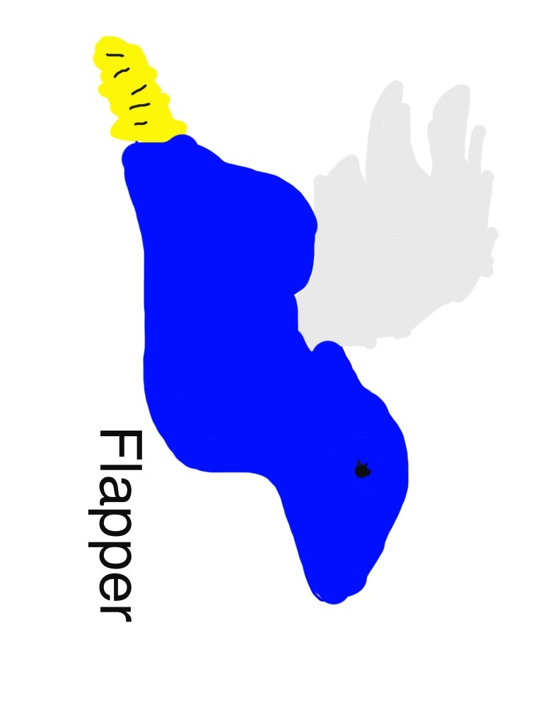 image.jpg