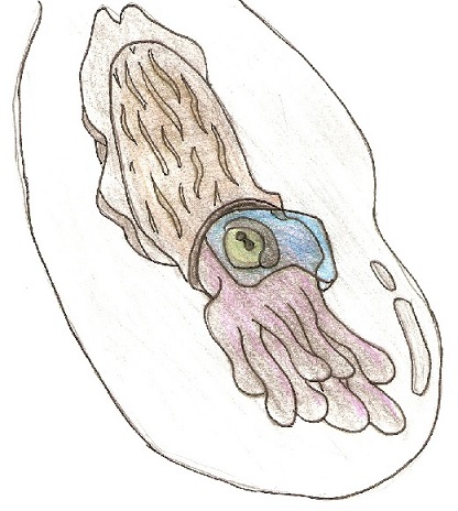 scan0001.jpg