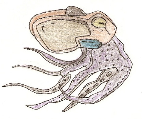 scan0003.jpg