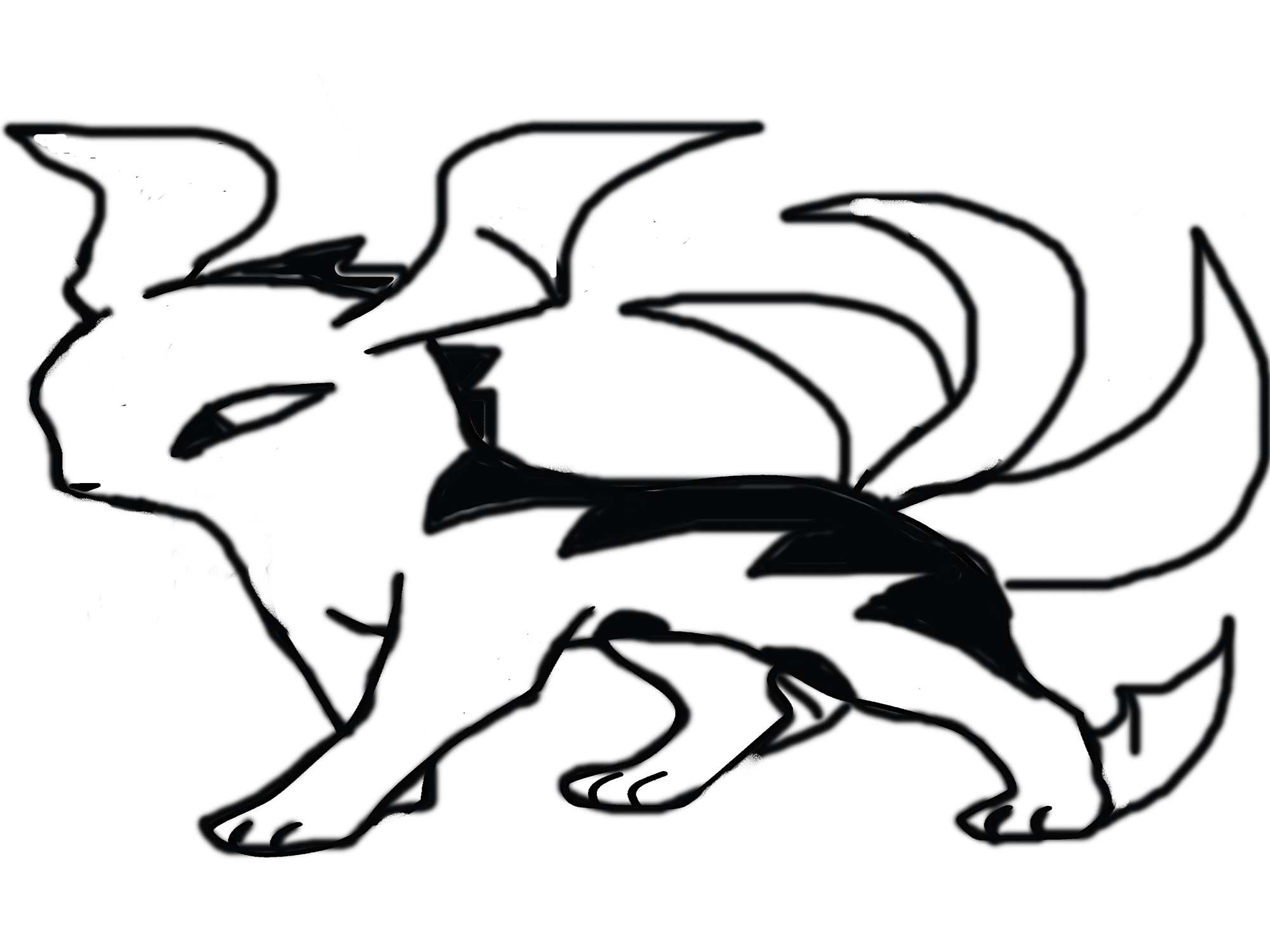 Black wild Cat.jpg