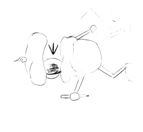 image.jpg